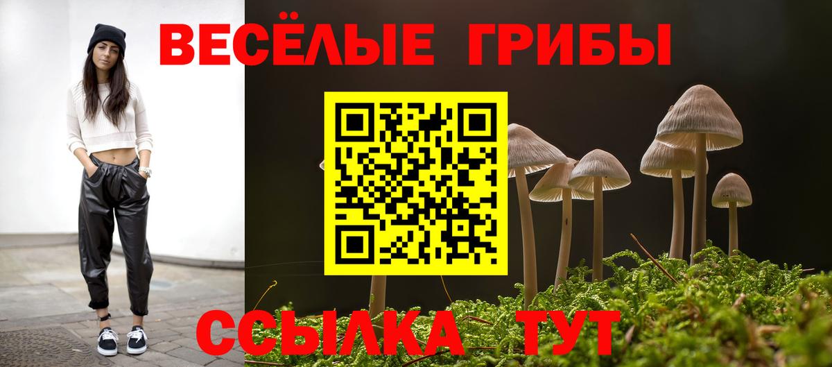 Галлюциногенные грибы Cubensis Горно-Алтайск