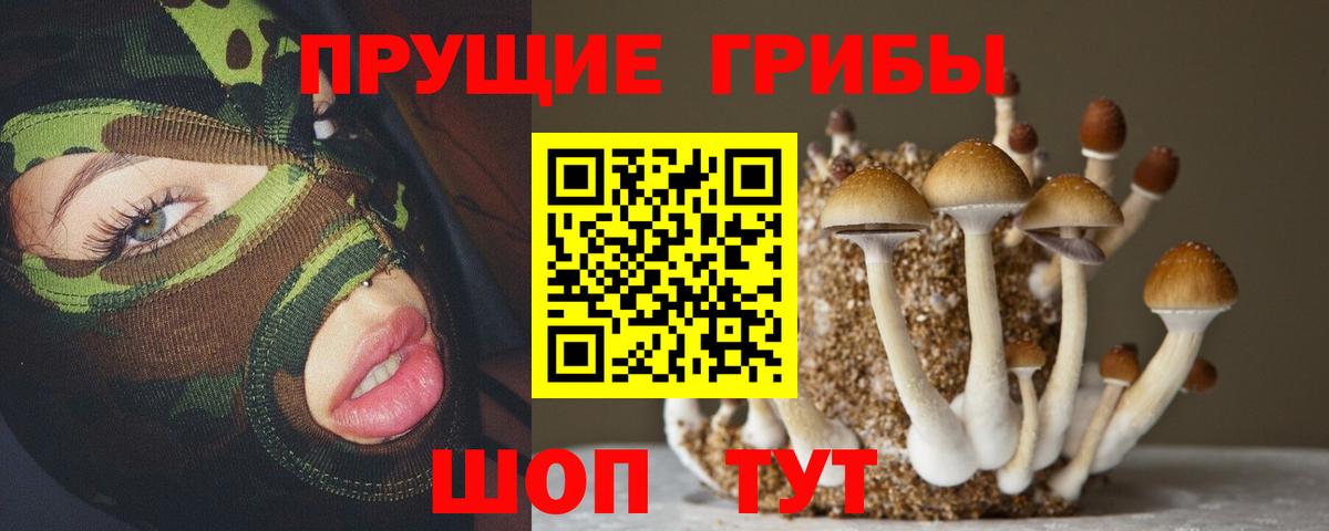 Галлюциногенные грибы Magic Shrooms  Вход с VPN  Псилоцибиновые грибы ЛСД  Горно-Алтайск 